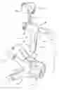 Fig. 01 - Reversible spray tip unit