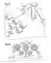 Fig. 09 - Aircraft attitude control configuration