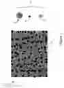 Fig. 03 - Magnetic composites and methods of making and using