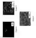 Fig. 04 - Magnetic composites and methods of making and using