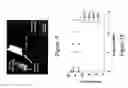 Fig. 06 - Magnetic composites and methods of making and using