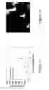 Fig. 08 - Magnetic composites and methods of making and using