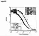 Fig. 08 - Composite structure
