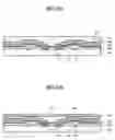 Fig. 06 - Pad redistribution chip for compactness, method of manufacturing the same, and stacked package using the same