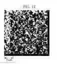 Fig. 13 - TFT wiring comprising copper layer coated by metal and metal oxide