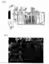 Fig. 02 - Method for producing fine particles using method of rapid expansion into poor solvent from supercritical fluid