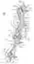 Fig. 02 - Stabilizer for leaf spring suspension device