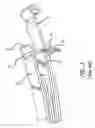 Fig. 04 - Stabilizer for leaf spring suspension device