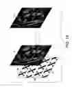 Fig. 09 - Moiré-based auto-stereoscopic watermarks