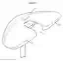 Fig. 02 - Anatomically correct bicycle saddle