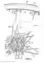 Fig. 04 - Bicycle rim