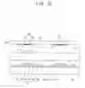 Fig. 06 - Display device and manufacturing method of the same