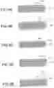 Fig. 07 - DISCHARGE LIGHT-EMITTING DEVICE