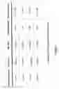 Fig. 04 - Modulation method and apparatus for dimming and/or colour mixing utilizing LEDs