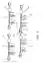 Fig. 04 - Serial lamp set having security warning functions