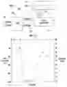 Fig. 02 - DUTY CYCLE MEASURMENT CIRCUIT FOR MEASURING AND MAINTAINING BALANCED CLOCK DUTY CYCLE