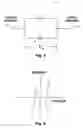 Fig. 02 - Ground testing method and apparatus