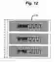 Fig. 12 - Living being presence detection system