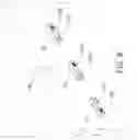 Fig. 08 - Direction indicating device
