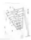 Fig. 04 - Microstrip log-periodic antenna array having grounded semi-coplanar waveguide-to-microstrip line transition