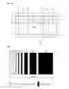 Fig. 05 - Plasma display apparatus and driving method thereof