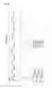 Fig. 34 - Plasma display apparatus and driving method thereof