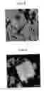 Fig. 05 - Plasma display device