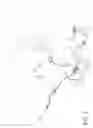Fig. 02 - Charging device and its charging method of self-moving type of mouse