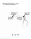 Fig. 83 - Method and apparatus for detecting and interpreting path of designated position