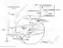 Fig. 01 - System and method for performing a three-dimensional virtual examination of objects, such as internal organs