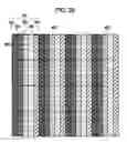 Fig. 30 - Image display device, electronic apparatus, and pixel location determining method