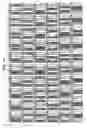 Fig. 42 - Image display device, electronic apparatus, and pixel location determining method