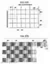 Fig. 48 - Image display device, electronic apparatus, and pixel location determining method