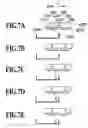 Fig. 08 - Ink jet printing apparatus and method for recovering the same