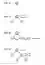 Fig. 13 - Information processing apparatus and method, and program