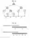 Fig. 16 - Information processing apparatus and method, and program