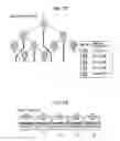 Fig. 17 - Information processing apparatus and method, and program