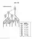 Fig. 18 - Information processing apparatus and method, and program