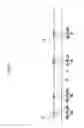 Fig. 09 - Thin film transistor array panel for liquid crystal display