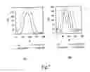 Fig. 08 - Liquid crystal display with wide viewing angle and method for making it