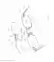 Fig. 09 - Detachable shelter frame for spectacles