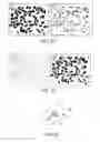 Fig. 19 - System, method and apparatus for fiber sample preparation for image analysis