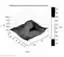 Fig. 10 - Method of bioimage data processing for revealing more meaningful anatomic features of diseased tissues