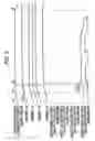 Fig. 05 - Image forming apparatus for forming color images and monochrome images