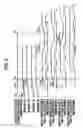 Fig. 07 - Image forming apparatus for forming color images and monochrome images