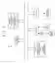 Fig. 03 - Method and device for creating print data, program for creating print data, and computer-readable recording medium containing the program