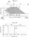 Fig. 04 - Optical filter and optical instrument