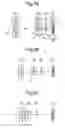 Fig. 06 - Zoom lens system and image pickup apparatus using the same