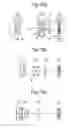 Fig. 14 - Zoom lens system and image pickup apparatus using the same