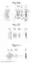 Fig. 18 - Zoom lens system and image pickup apparatus using the same